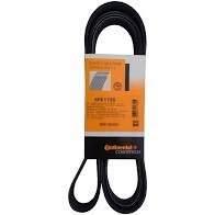 Correia Multi V Elástica - Contitech 6pk725 Elast